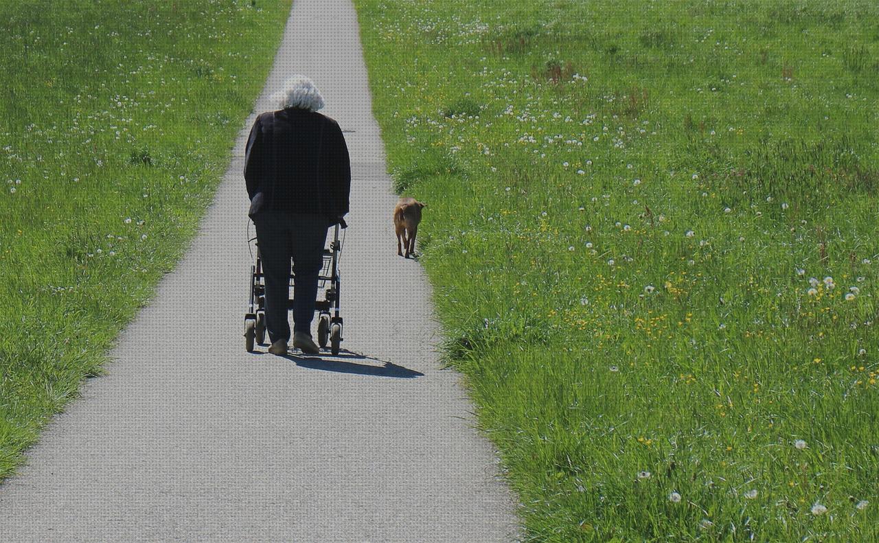 ¿Dónde poder comprar ancianos andador a060es para ancianos?