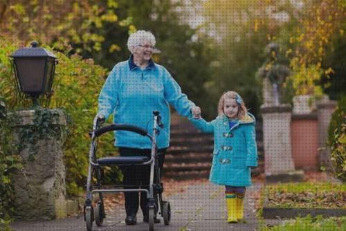 Las mejores dobles ancianos andador ancianos doble rueda con asiento