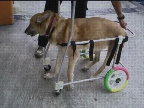 ¿Dónde poder comprar perros ruedas andador para perros cuatro ruedas?