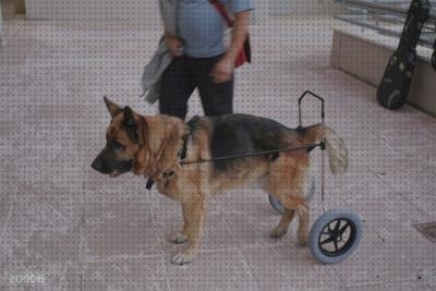 Las mejores perros ruedas arnes para silla de ruedas para perros