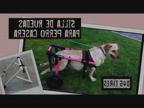 Review de arnes para silla de ruedas para perros