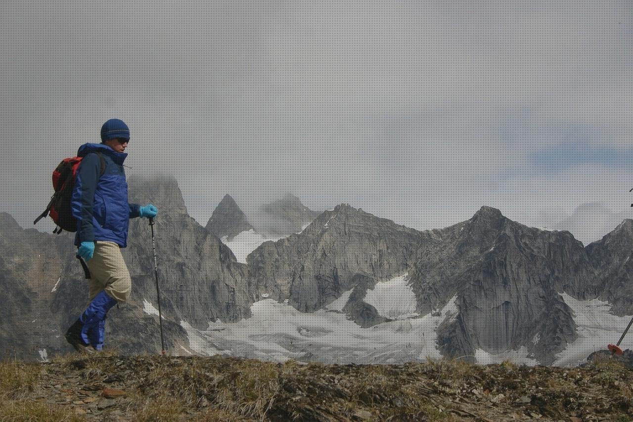 TOP 26 bastones canadienses del mundo