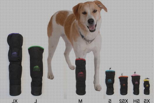 Las mejores perros botas ortopedicas especial para perros