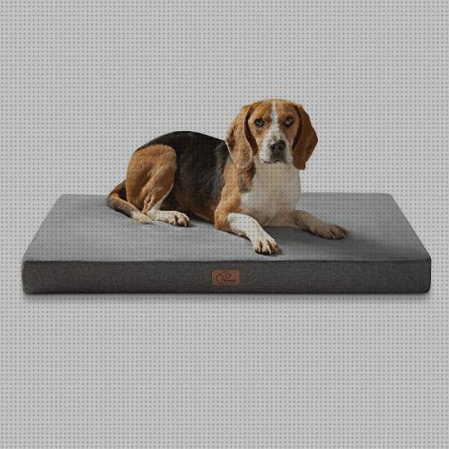 Review de cama desenfundable ortopedica para perros