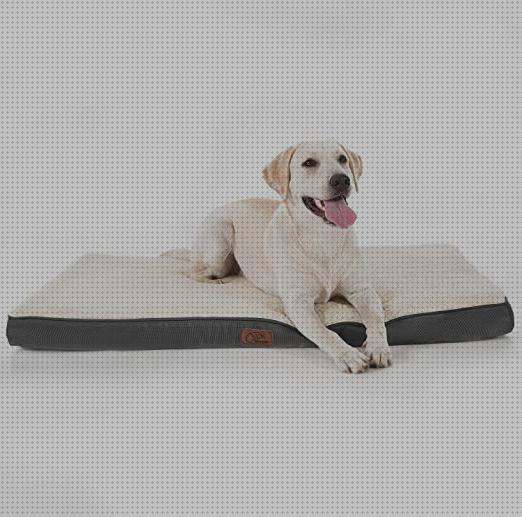 Review de cama espuma ortopedica perros