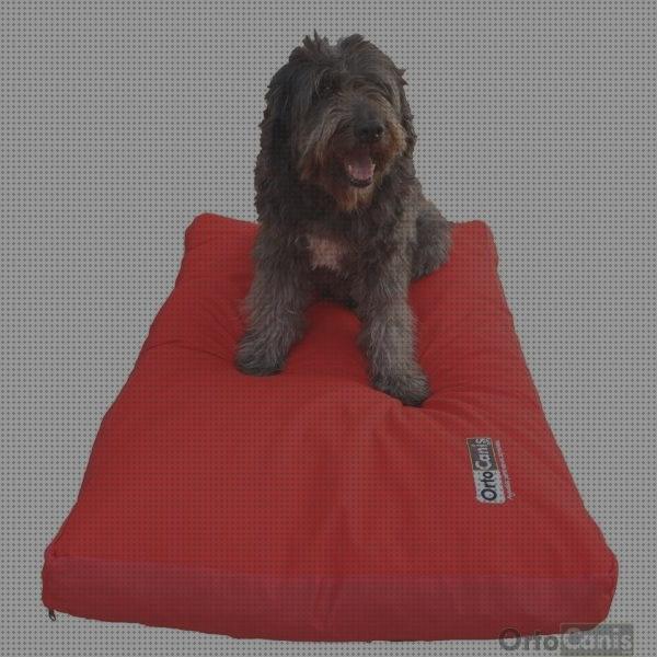 Review de cama ortopedica perro ortocanis