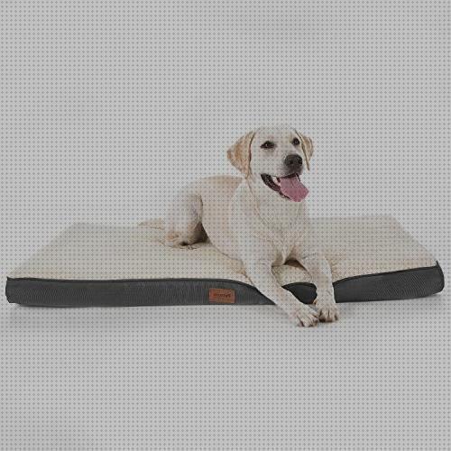 Bedsure Cama Perro Ortopédica Grande - Colchón Perro Lavable Verano L,  Desenfundable con Espuma De Caja De Huevos, 91x68x7.6 cm - Por el perro