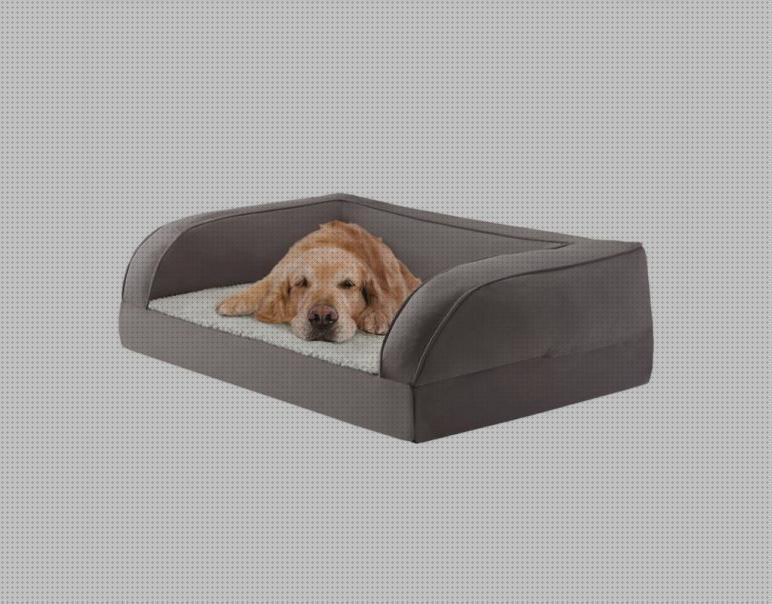 ¿Dónde poder comprar ortopedicos camas cama ortopedico perro redonda?