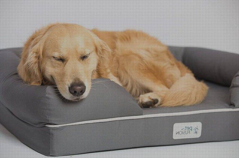 Review de camas ortopedicas para perros con displasia