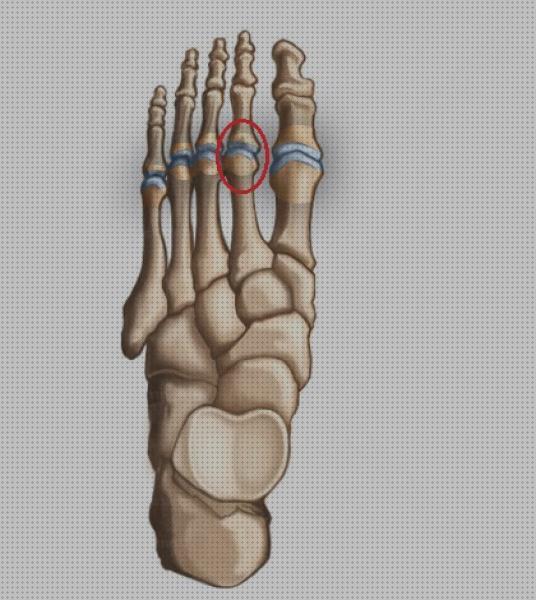 ¿Dónde poder comprar columna cervical rectificada kons bambas ortopédicas almohada de viaje cervical concord capsulitis dedo gordo pie?