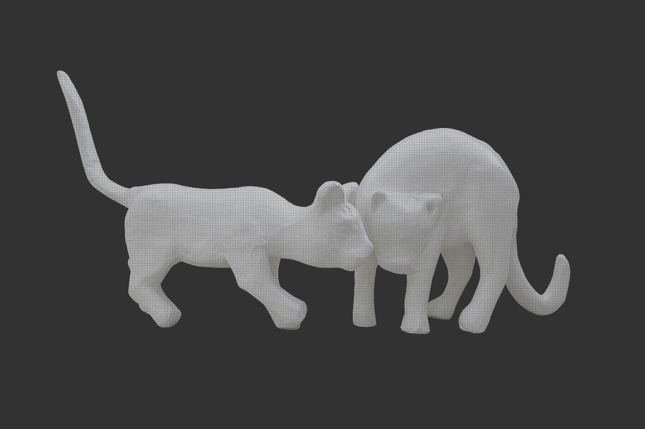 Kit Molde de Manos para Esculturas 3D de Pareja, Adultos, Familia y  Niños.Completo Alginato y Yeso.Idea Regalo y Conjunto Completo con  Accesorios