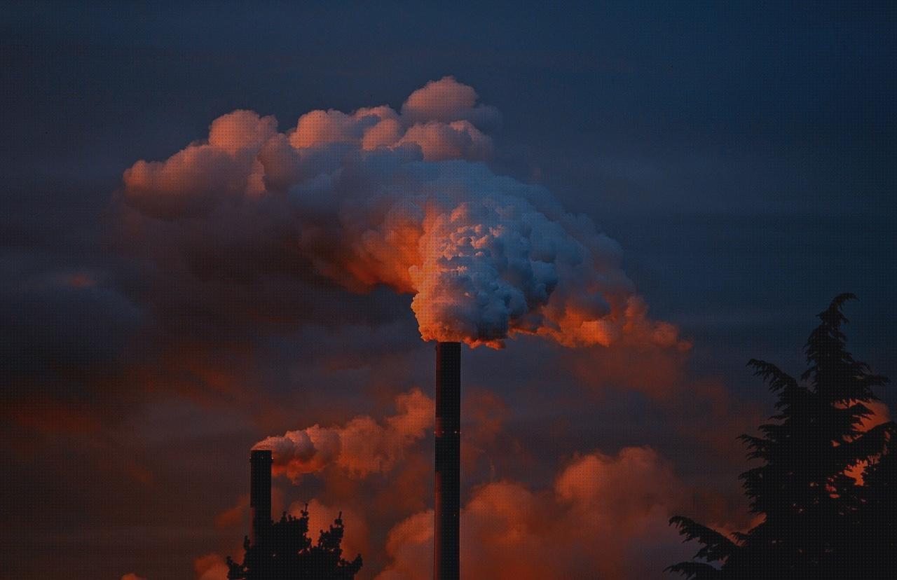 Las mejores marcas de gasas de silicona disras orejas orejas ortopédicas gasas esteriles