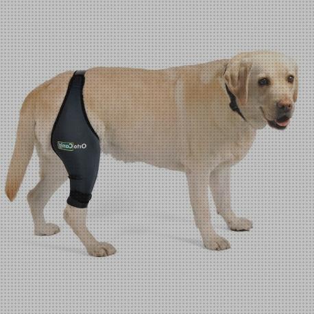 ¿Dónde poder comprar perros ortesis ortesis articulada de rodilla perros?