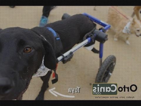 ¿Dónde poder comprar perros ruedas ortocanis silla de ruedas para perros?
