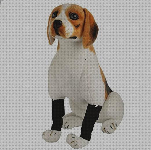 Las mejores marcas de rodillas ortesis ortesis rodilla perro