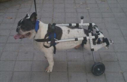 Las mejores perros ruedas silla de ruedas para perros patas traseras