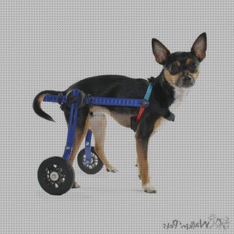 ¿Dónde poder comprar perros sillas ruedas silla de ruedas perro pequeño?