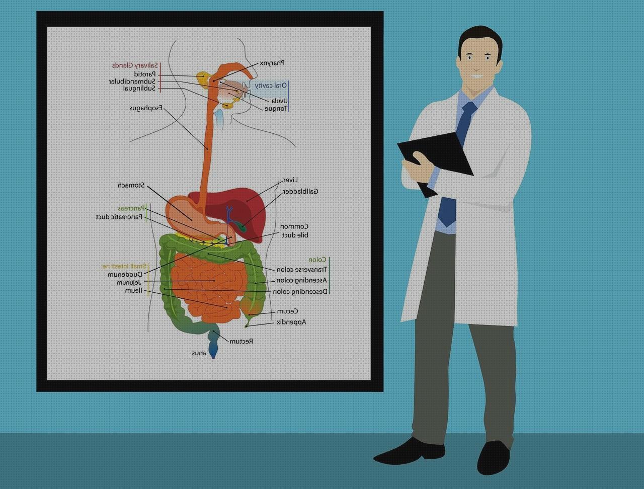 Las mejores marcas de traumatologia