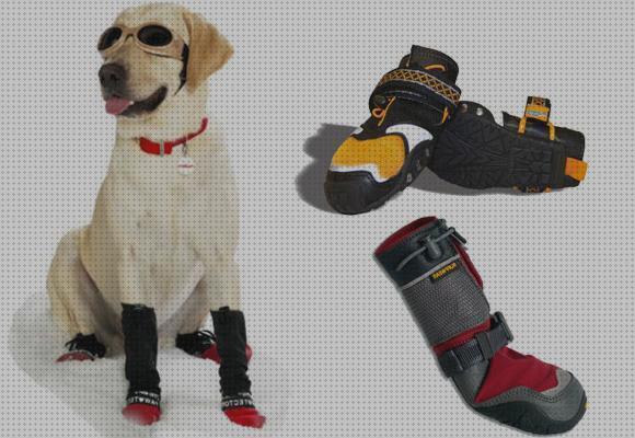 ¿Dónde poder comprar perros zapato ortopedico para perros?